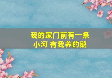 我的家门前有一条小河 有我养的鹅